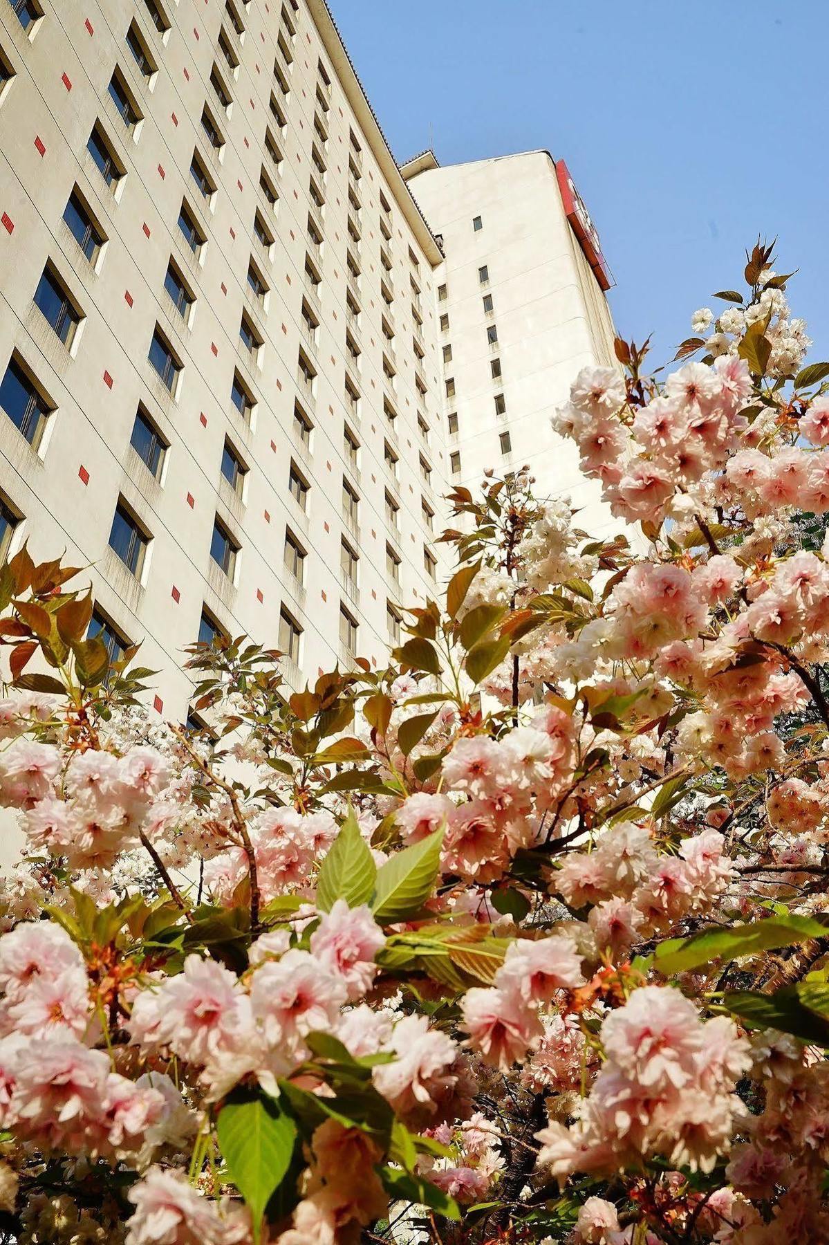 Rosedale Hotel & Suites Beijing Pequim Exterior foto
